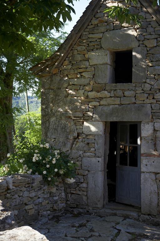 Bed and Breakfast Mas de Garrigue Calvignac Exterior foto