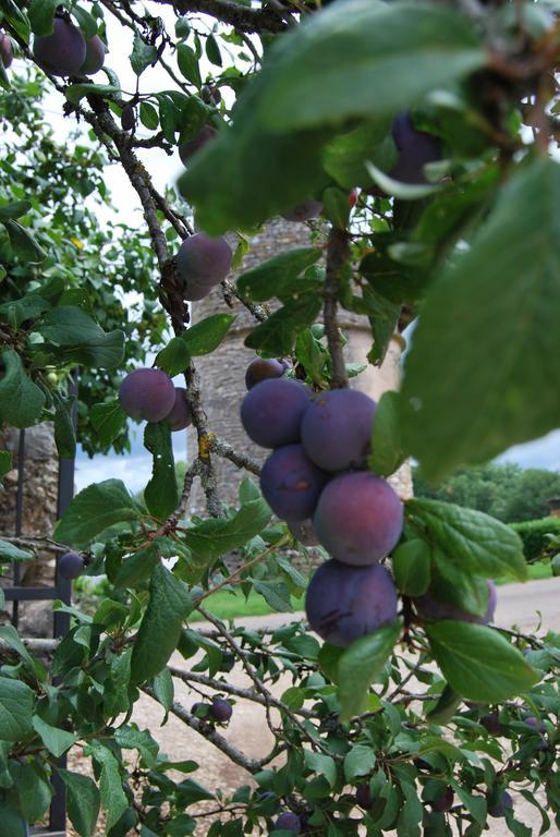 Bed and Breakfast Mas de Garrigue Calvignac Exterior foto
